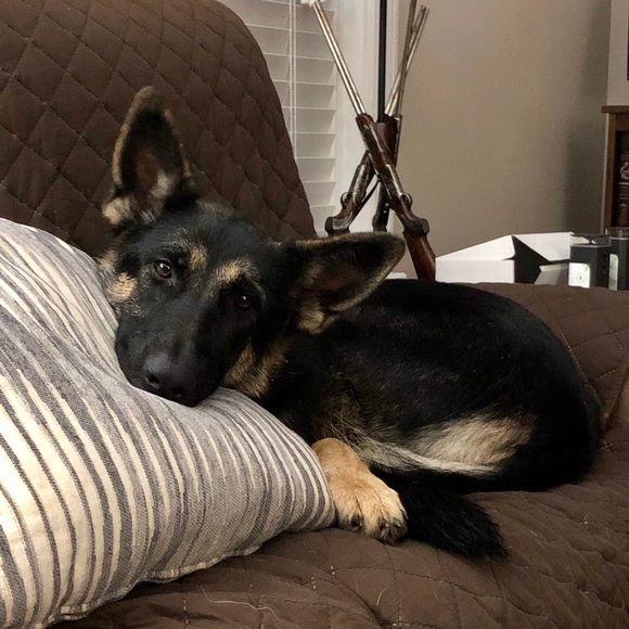 Meet your Posher, Sherri - Picture 3 of 4